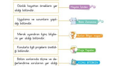 3. Sınıf Sdr Dikey Yayıncılık Fen Bilimleri Ders Kitabı Sayfa 11 Cevapları