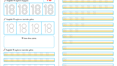 18 Sayısı Öğretimi (Yeni Müfredata Uygun)