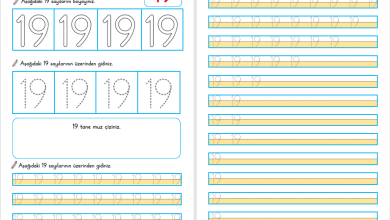 19 Sayısı Öğretimi (Yeni Müfredata Uygun)