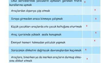 2. Sınıf Hayat Bilgisi Ata Yayıncılık Sayfa 107 Cevapları