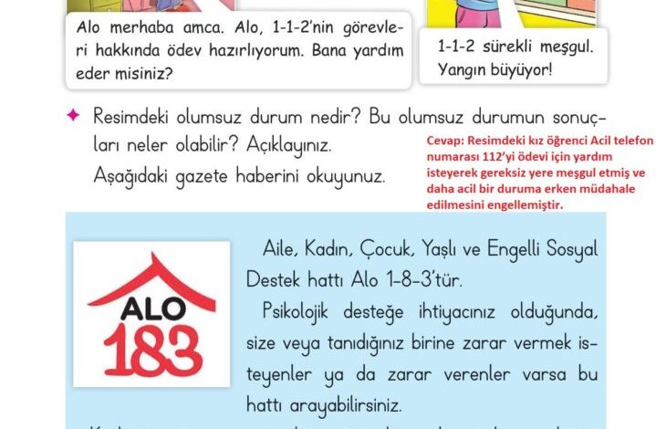 2. Sınıf Hayat Bilgisi Ata Yayıncılık Sayfa 114 Cevapları