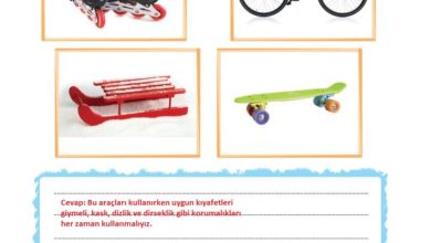 2. Sınıf Hayat Bilgisi Ata Yayıncılık Sayfa 123 Cevapları