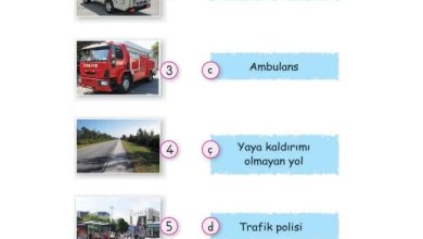 2. Sınıf Hayat Bilgisi Ata Yayıncılık Sayfa 125 Cevapları