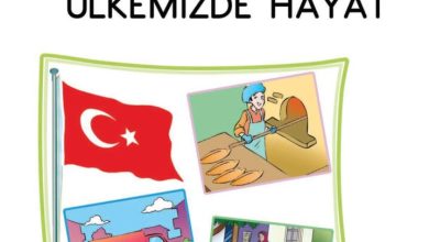 2. Sınıf Hayat Bilgisi Ata Yayıncılık Sayfa 127 Cevapları