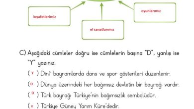 2. Sınıf Hayat Bilgisi Ata Yayıncılık Sayfa 158 Cevapları