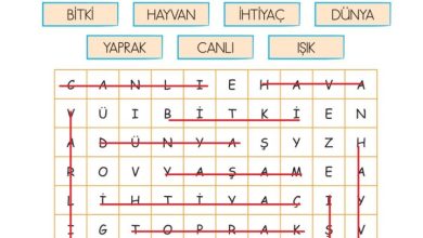 2. Sınıf Hayat Bilgisi Ata Yayıncılık Sayfa 164 Cevapları