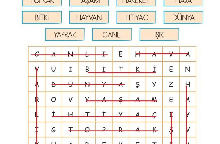 2. Sınıf Hayat Bilgisi Ata Yayıncılık Sayfa 164 Cevapları