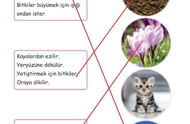 2. Sınıf Hayat Bilgisi Ata Yayıncılık Sayfa 165 Cevapları