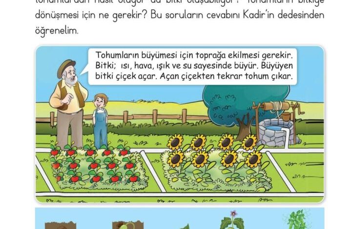 2. Sınıf Hayat Bilgisi Ata Yayıncılık Sayfa 166 Cevapları