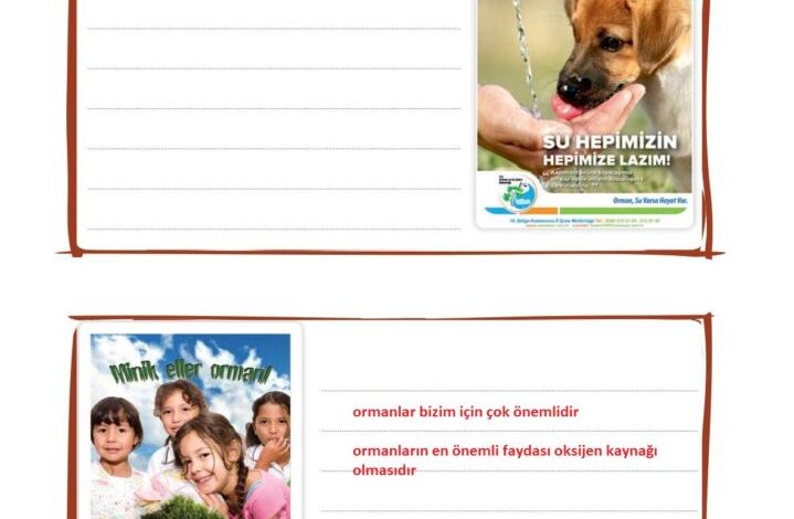 2. Sınıf Hayat Bilgisi Ata Yayıncılık Sayfa 171 Cevapları