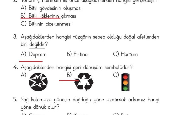 2. Sınıf Hayat Bilgisi Ata Yayıncılık Sayfa 199 Cevapları