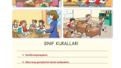 2. Sınıf Hayat Bilgisi Ata Yayıncılık Sayfa 24 Cevapları