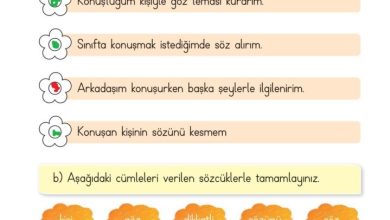 2. Sınıf Hayat Bilgisi Ata Yayıncılık Sayfa 38 Cevapları