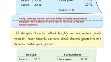 2. Sınıf Hayat Bilgisi Ata Yayıncılık Sayfa 44 Cevapları