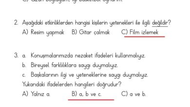 2. Sınıf Hayat Bilgisi Ata Yayıncılık Sayfa 45 Cevapları