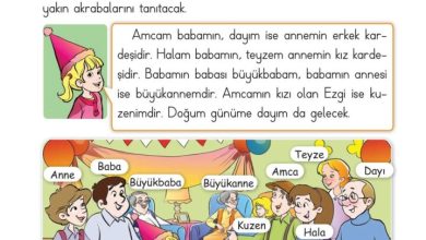 2. Sınıf Hayat Bilgisi Ata Yayıncılık Sayfa 48 Cevapları