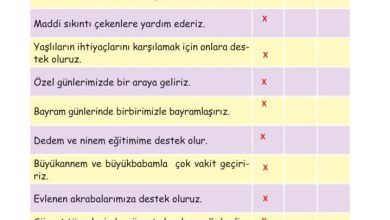 2. Sınıf Hayat Bilgisi Ata Yayıncılık Sayfa 51 Cevapları