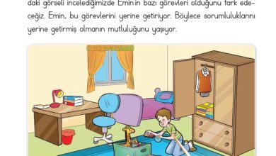 2. Sınıf Hayat Bilgisi Ata Yayıncılık Sayfa 56 Cevapları