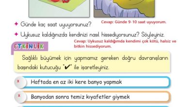 2. Sınıf Hayat Bilgisi Ata Yayıncılık Sayfa 77 Cevapları