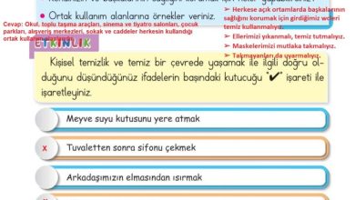 2. Sınıf Hayat Bilgisi Ata Yayıncılık Sayfa 86 Cevapları