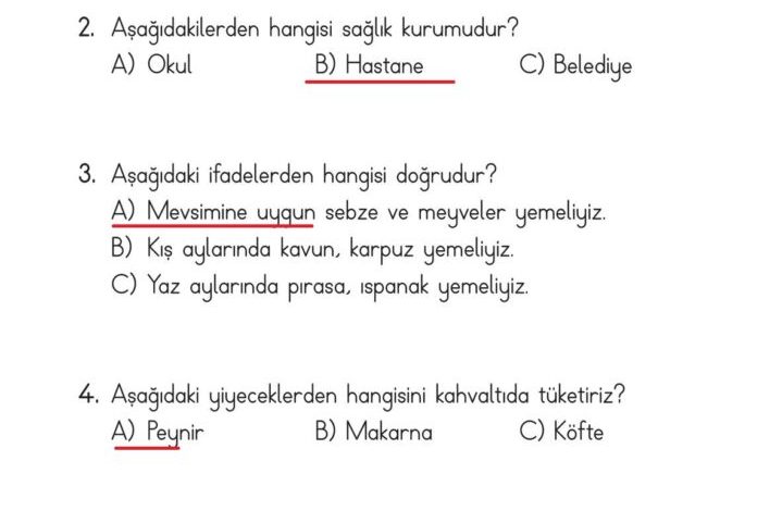 2. Sınıf Hayat Bilgisi Ata Yayıncılık Sayfa 96 Cevapları