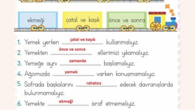 2. Sınıf Hayat Bilgisi Meb Yayınları Sayfa 118 Cevapları