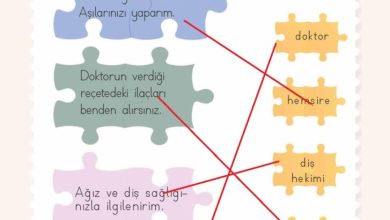 2. Sınıf Hayat Bilgisi Meb Yayınları Sayfa 126 Cevapları