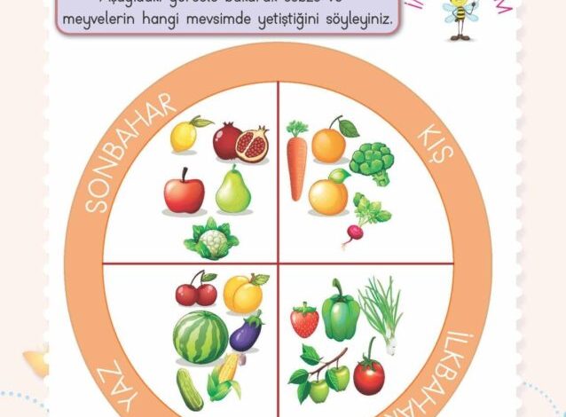 2. Sınıf Hayat Bilgisi Meb Yayınları Sayfa 128 Cevapları