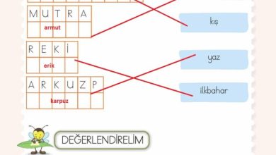 2. Sınıf Hayat Bilgisi Meb Yayınları Sayfa 130 Cevapları