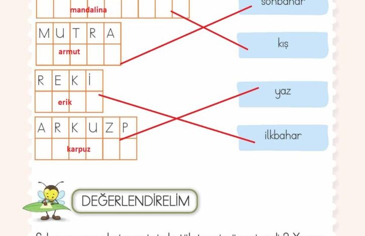 2. Sınıf Hayat Bilgisi Meb Yayınları Sayfa 130 Cevapları