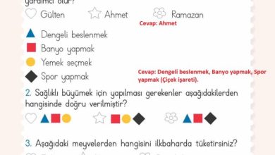 2. Sınıf Hayat Bilgisi Meb Yayınları Sayfa 136 Cevapları