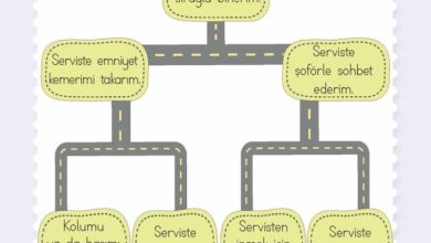 2. Sınıf Hayat Bilgisi Meb Yayınları Sayfa 148 Cevapları