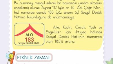 2. Sınıf Hayat Bilgisi Meb Yayınları Sayfa 155 Cevapları