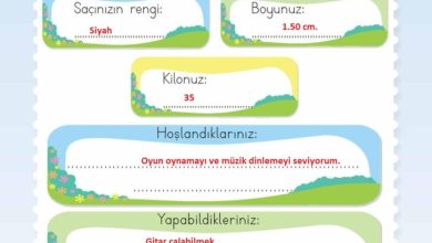 2. Sınıf Hayat Bilgisi Meb Yayınları Sayfa 16 Cevapları