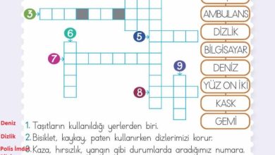 2. Sınıf Hayat Bilgisi Meb Yayınları Sayfa 166 Cevapları