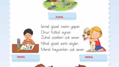 2. Sınıf Hayat Bilgisi Meb Yayınları Sayfa 17 Cevapları