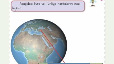 2. Sınıf Hayat Bilgisi Meb Yayınları Sayfa 172 Cevapları