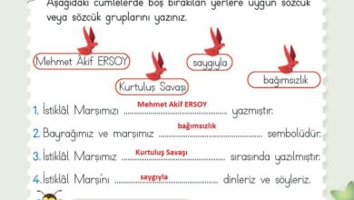 2. Sınıf Hayat Bilgisi Meb Yayınları Sayfa 179 Cevapları