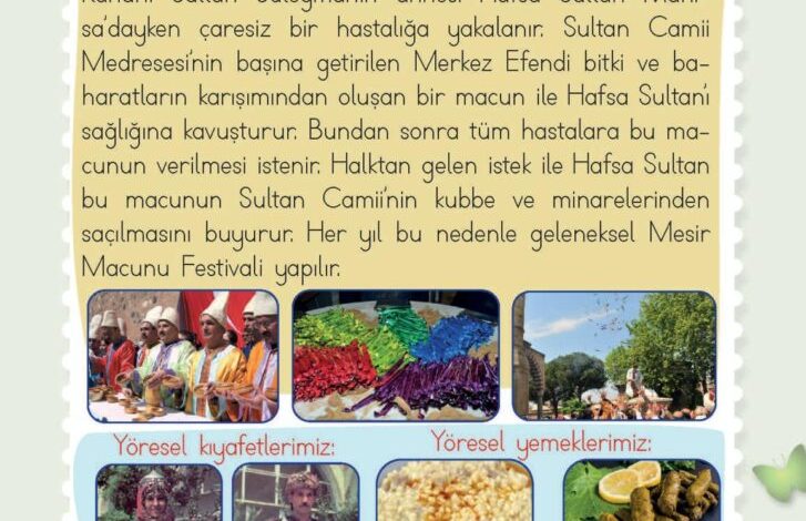 2. Sınıf Hayat Bilgisi Meb Yayınları Sayfa 191 Cevapları