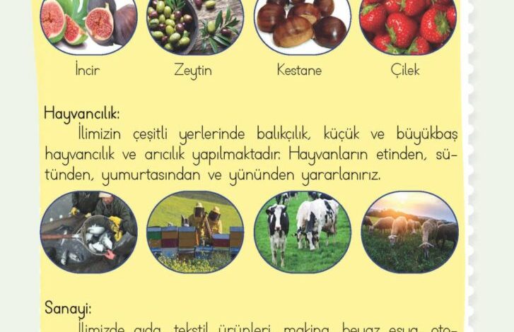 2. Sınıf Hayat Bilgisi Meb Yayınları Sayfa 200 Cevapları