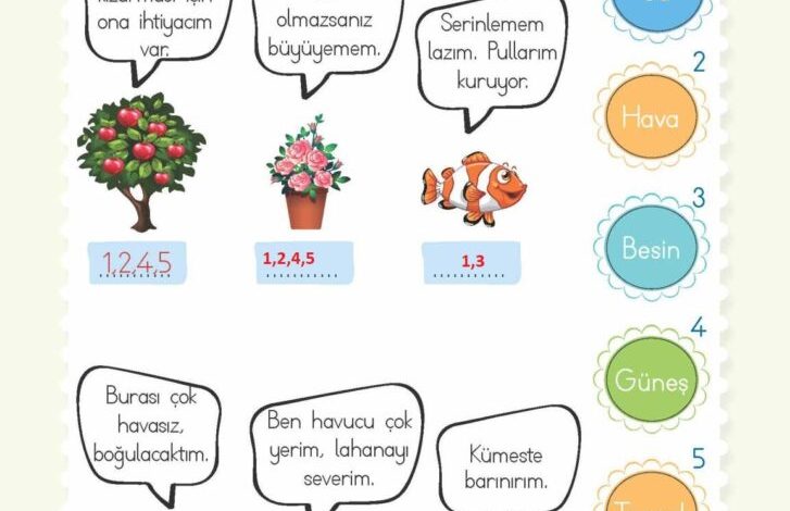 2. Sınıf Hayat Bilgisi Meb Yayınları Sayfa 212 Cevapları