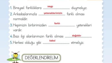 2. Sınıf Hayat Bilgisi Meb Yayınları Sayfa 22 Cevapları