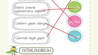 2. Sınıf Hayat Bilgisi Meb Yayınları Sayfa 220 Cevapları