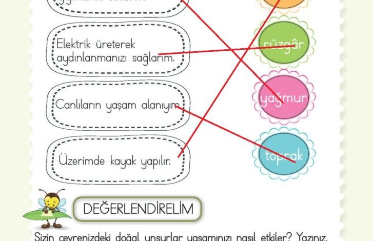 2. Sınıf Hayat Bilgisi Meb Yayınları Sayfa 220 Cevapları