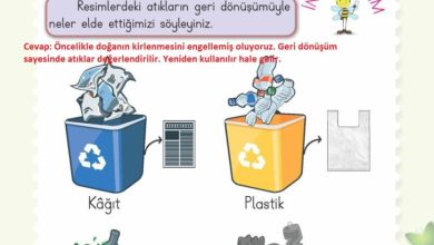 2. Sınıf Hayat Bilgisi Meb Yayınları Sayfa 221 Cevapları