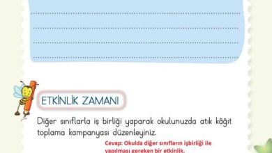 2. Sınıf Hayat Bilgisi Meb Yayınları Sayfa 223 Cevapları