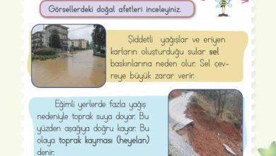 2. Sınıf Hayat Bilgisi Meb Yayınları Sayfa 227 Cevapları