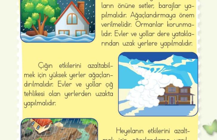 2. Sınıf Hayat Bilgisi Meb Yayınları Sayfa 231 Cevapları