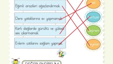 2. Sınıf Hayat Bilgisi Meb Yayınları Sayfa 234 Cevapları