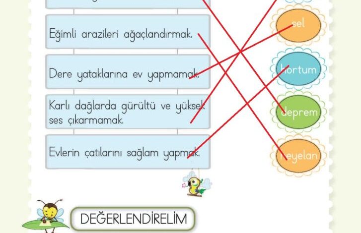 2. Sınıf Hayat Bilgisi Meb Yayınları Sayfa 234 Cevapları